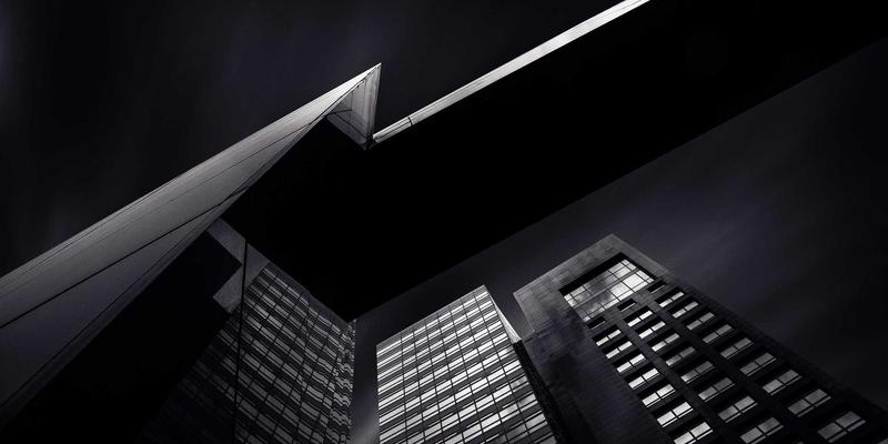 从宠物医院、美容到寄养：三大宠物服务场景的用品配置与运营启示