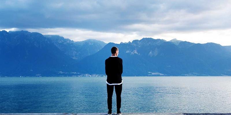 从狗粮选择到宠物美容：爱宠8带你开启科学养宠进阶之路