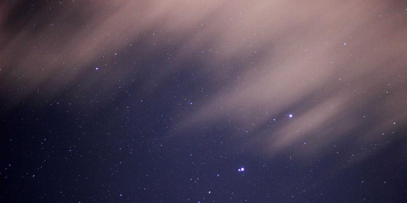 仓鼠笼子布置与丰容玩具DIY教程：从狗粮到宠物医院，打造专业级宠物服务体验