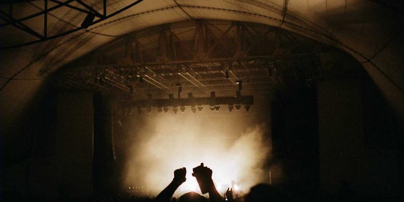 告别宠物分离焦虑症：安抚玩具、信息素与行为训练全解析，从狗粮选择到宠物美容的完整爱宠方案