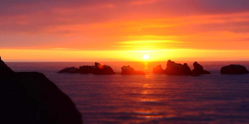 多宠家庭资源分配指南：科学规划宠物用品、善用宠物医院与寄养服务