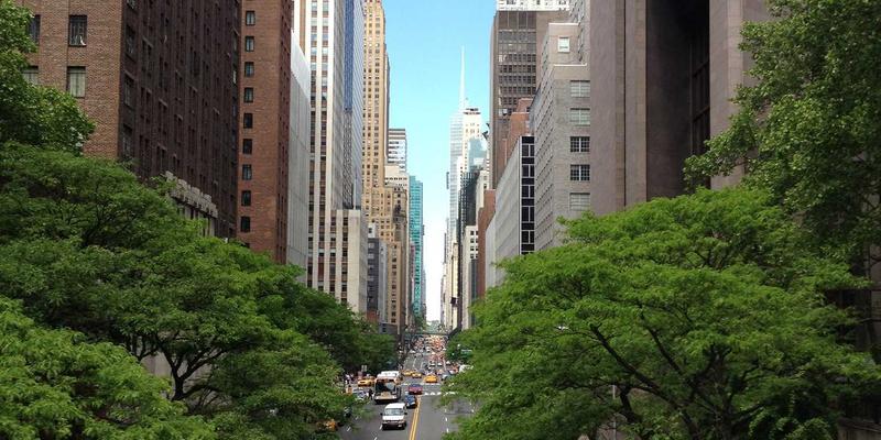 多宠物家庭用品解决方案：3大策略实现宠物玩具与狗粮的和平共享