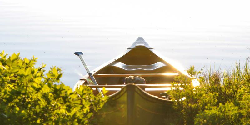 如何打造宠物友好家居：从防抓沙发到专属休息区的完整指南