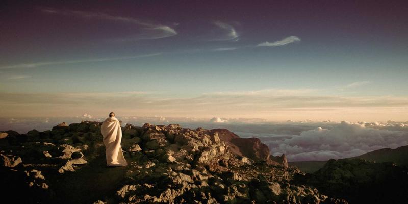 宠物冬季防寒全攻略：加热垫选择、防冻爪膏与室内加湿注意事项 | 宠物用品与美容指南