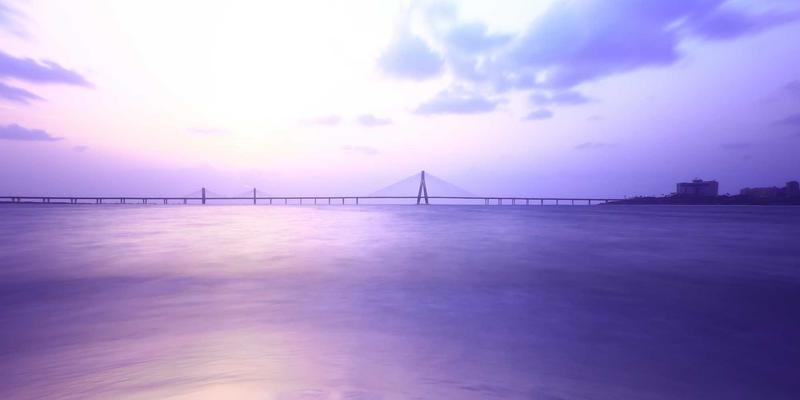 宠物口腔护理全攻略：从牙刷、漱口水到洁牙玩具，专业宠物医院教你守护爱宠健康