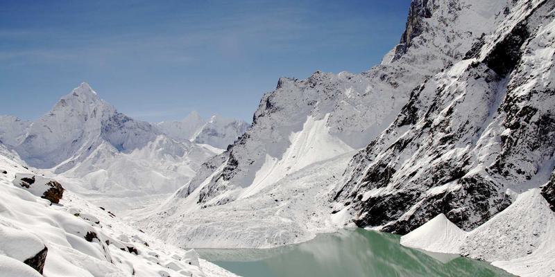 宠物口腔护理全攻略：从狗粮选择到专业洗牙，守护爱宠健康微笑