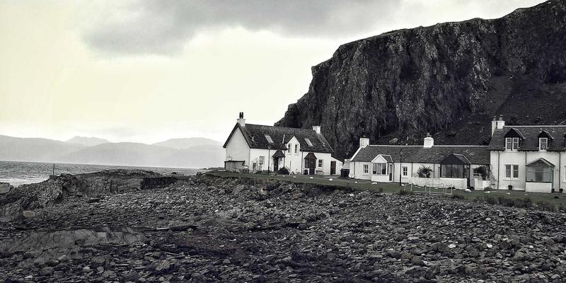 宠物口腔护理进阶指南：从宠物医院专业洁牙到居家用品安全选择