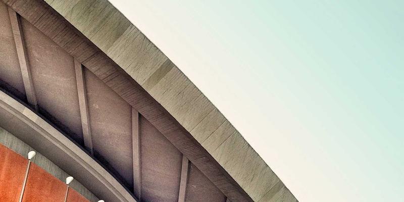 宠物外出装备全攻略：从安全胸背带到车载措施，打造安心旅程