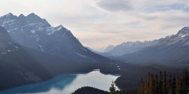 宠物寄养必备神器实测：防水床单、防抓贴与可拆洗沙发套，告别猫砂与毛发困扰