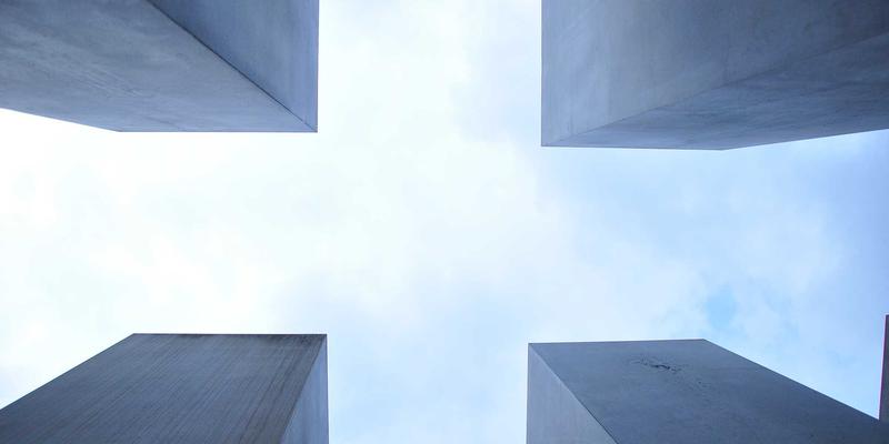 宠物急救包必备物品清单：从日常外伤护理到紧急处理的爱宠8指南