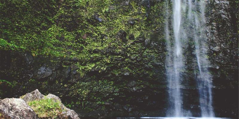 宠物旅行必备清单：航空箱认证标准、车载安全装备与应急包整理全攻略