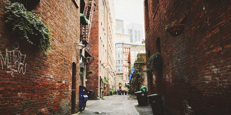 宠物旅行用品清单：带猫狗自驾游必备装备与注意事项 | 专业宠物服务指南