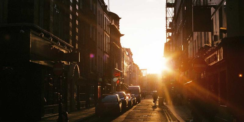 宠物智能喂食器选购指南：如何根据猫咪狗狗的饮食习惯选择合适型号