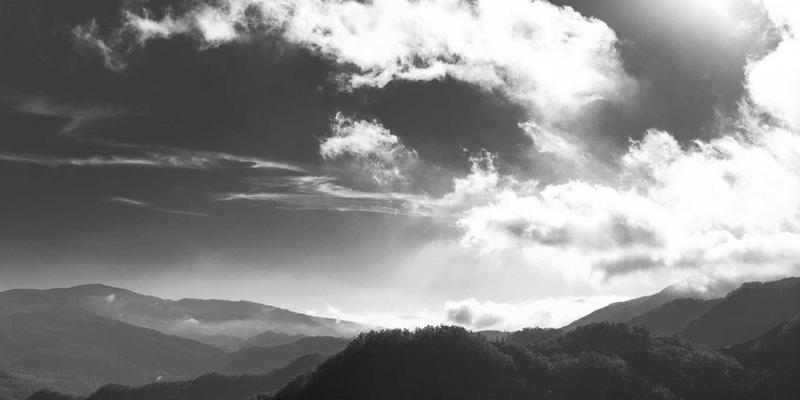 宠物智能饮水机选购指南：如何根据宠物种类与习性选择合适的水流与过滤系统