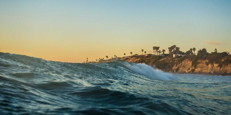 宠物智能饮水机选购指南：科学增加猫咪狗狗饮水量，搭配优质狗粮预防泌尿疾病