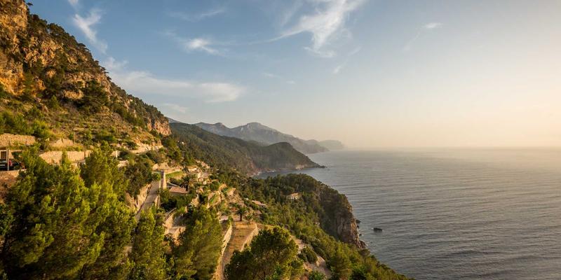 宠物用品39：从爱宠8玩具到宠物医院，打造全方位科学养宠方案