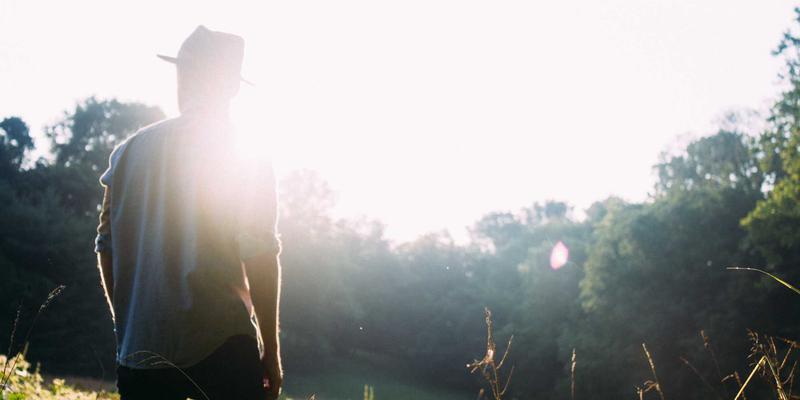 宠物用品83：从宠物寄养到爱宠8玩具，打造全方位爱宠生活