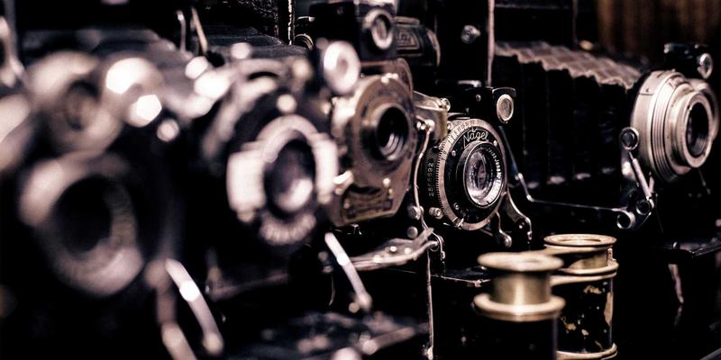 宠物用品85：从宠物玩具到安心寄养，打造爱宠全方位幸福生活