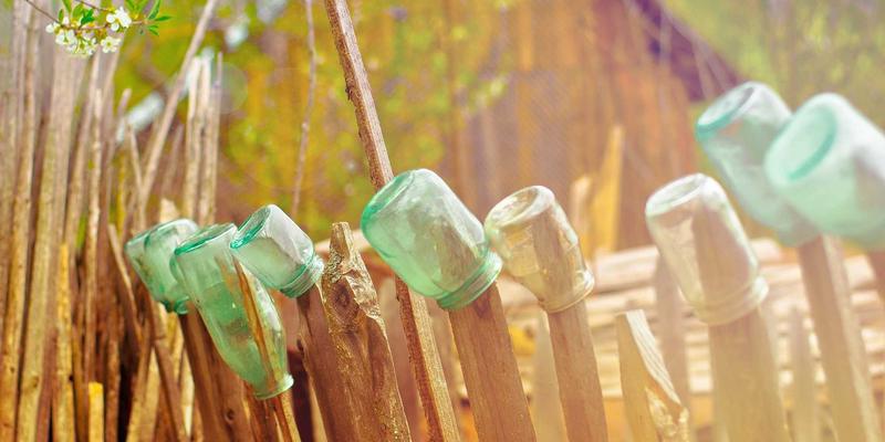 宠物用品94：从医疗、美容到玩具，打造爱宠健康快乐生活