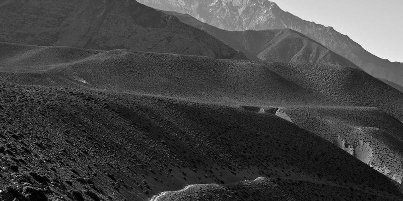 宠物用品使用全攻略：从日常护理到寄养就医的智慧选择