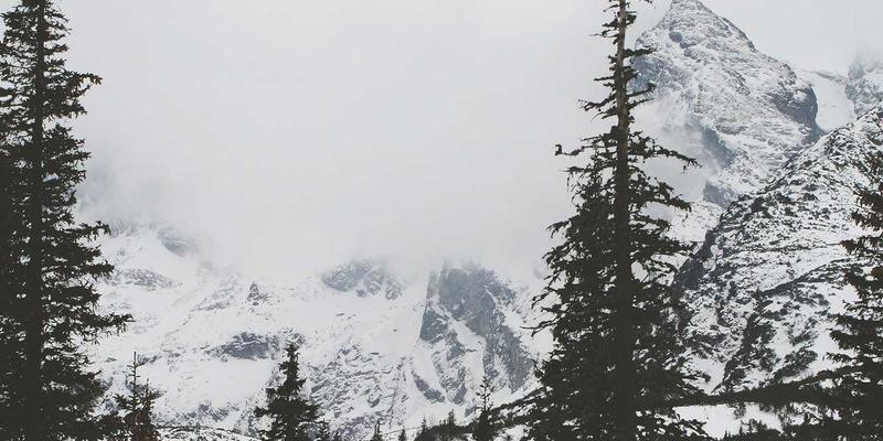 宠物用品选购指南：从猫砂狗粮到专业服务，打造爱宠健康生活