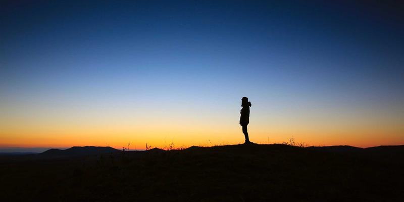 宠物车载安全装备深度评测：安全座椅、安全带与航空箱，哪个更能守护毛孩安全？