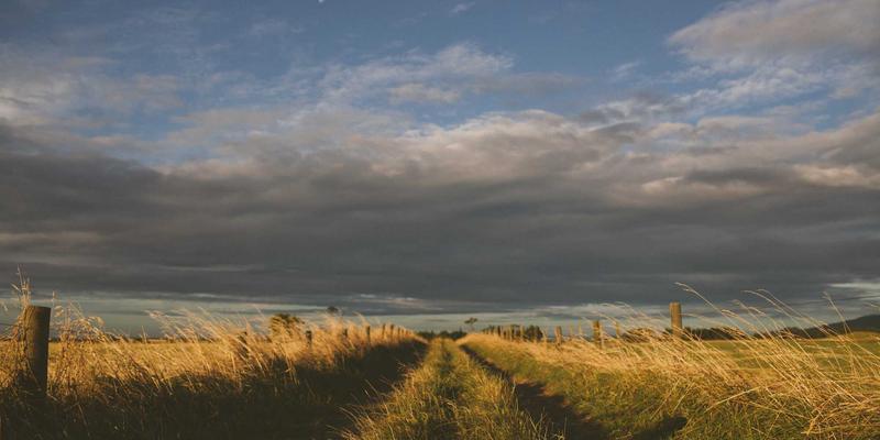 宠物食盆材质全解析：不锈钢、陶瓷、慢食盆如何选？附宠物玩具与美容搭配指南