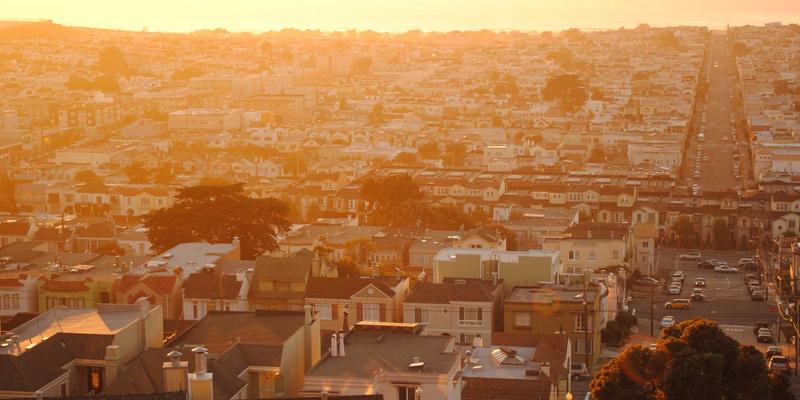 宠物鱼油与卵磷脂深度评测：美毛护肤功效对比与选购要点 | 专业宠物服务指南