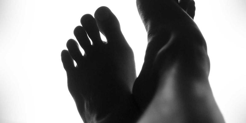 异宠用品挑选全攻略：从仓鼠笼具到鹦鹉玩具，兼顾宠物寄养与营养选择