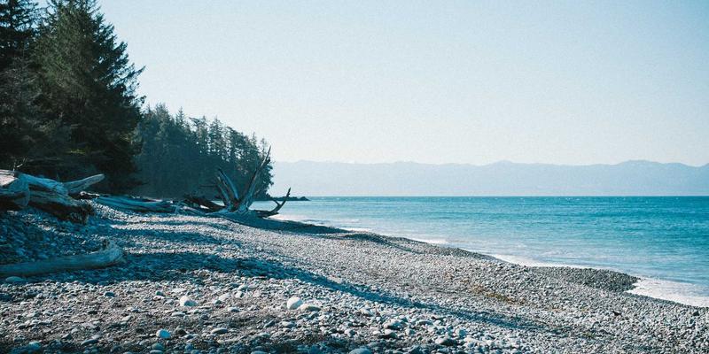 新手养猫必备用品清单及使用技巧：从宠物玩具到宠物医院，全面守护爱宠健康