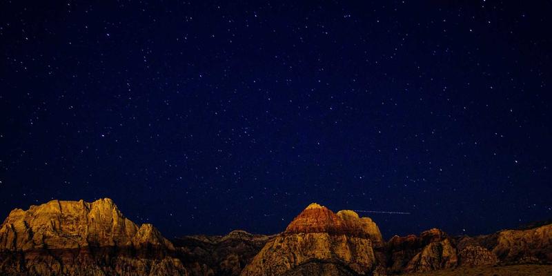 洞察未来：三大宠物用品趋势如何重塑爱宠生活