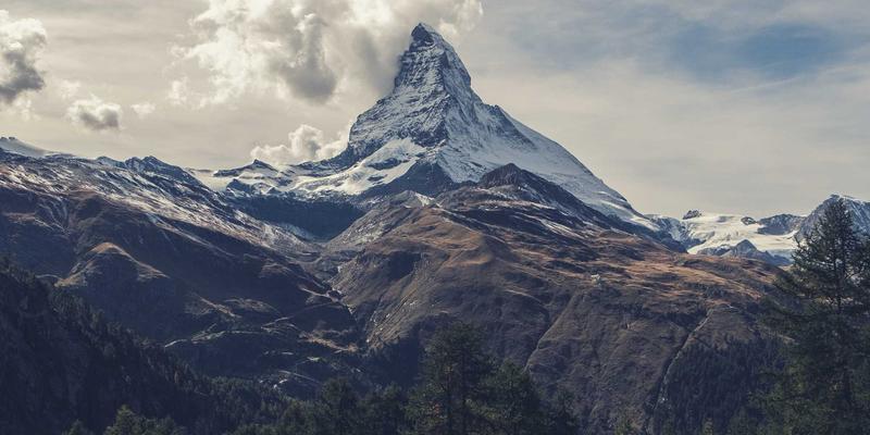爱宠8必备：宠物旅行用品清单，从便携水壶到车载睡垫的完美攻略