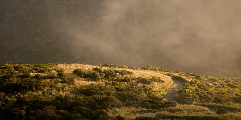 爱宠8指南：专业宠物用品与美容全解析，让萌宠健康又时尚