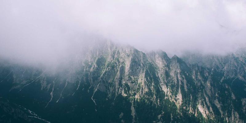 狗狗丰容玩具深度测评：缓解分离焦虑与智力开发用品推荐 | 宠物寄养与美容必备