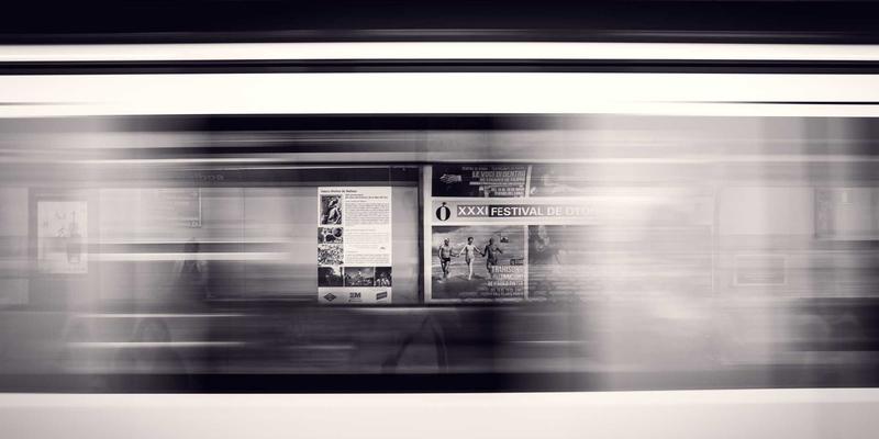 猫咪自动喂食器选购指南：解放双手，告别宠物寄养焦虑