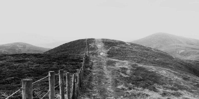 猫咪行为学与猫爬架设计：爱宠8宠物医院解析如何通过垂直空间满足猫咪天性