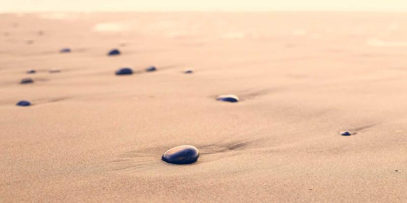 猫咪黑下巴全攻略：从宠物美容到餐具选择，一次解决毛孩面子问题