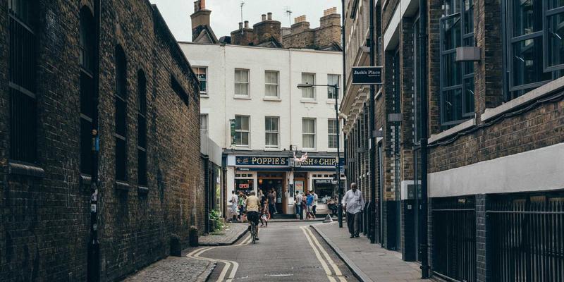 猫砂、狗粮与宠物服务：科学养宠的三大支柱