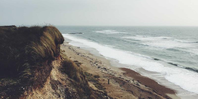 精选宠物用品三大优势:从猫砂狗粮到专业美容,打造爱宠健康幸福生活