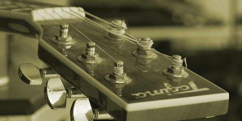 老年宠物护理全攻略：关节护理、助行装备与舒适寝具选购清单，兼顾宠物美容与寄养需求