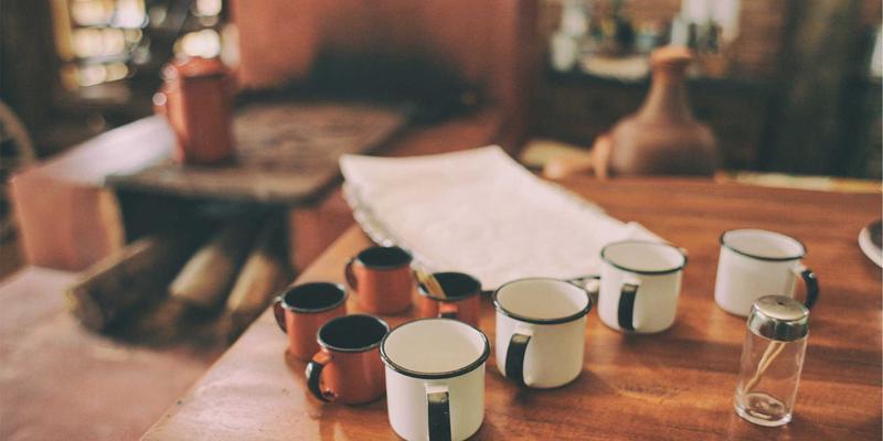 老年犬关节养护全指南：如何通过专业宠物服务与用品打造安全家居环境